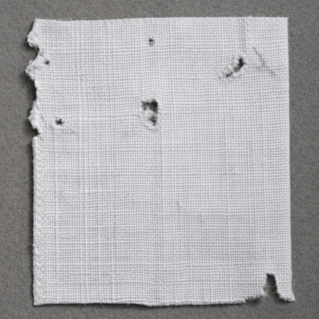 cloth eaten insects